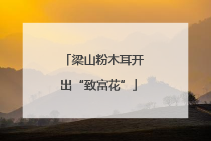 梁山粉木耳开出“致富花”