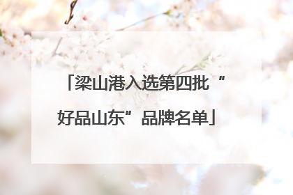 梁山港入选第四批“好品山东”品牌名单