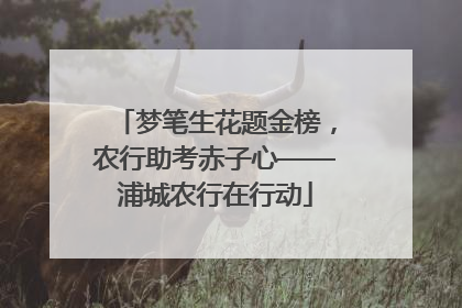 梦笔生花题金榜，农行助考赤子心——浦城农行在行动