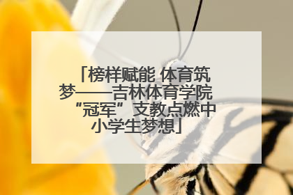 榜样赋能 体育筑梦——吉林体育学院“冠军”支教点燃中小学生梦想