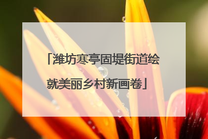 潍坊寒亭固堤街道绘就美丽乡村新画卷