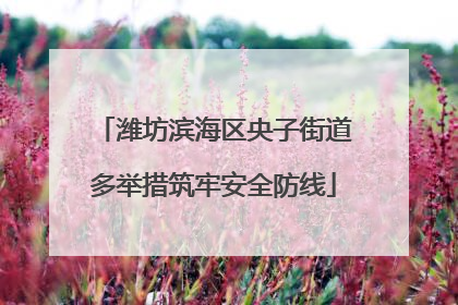 潍坊滨海区央子街道多举措筑牢安全防线