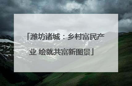 潍坊诸城：乡村富民产业 绘就共富新图景