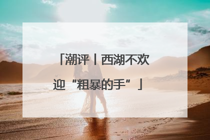潮评丨西湖不欢迎“粗暴的手”