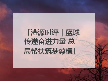 澧源时评｜篮球传递奋进力量 总局帮扶筑梦桑植