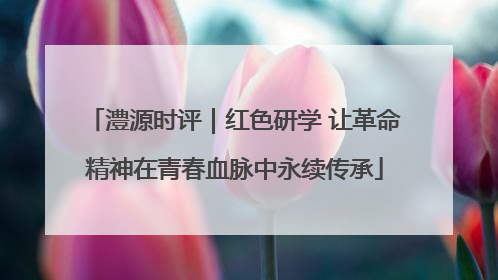澧源时评｜红色研学 让革命精神在青春血脉中永续传承