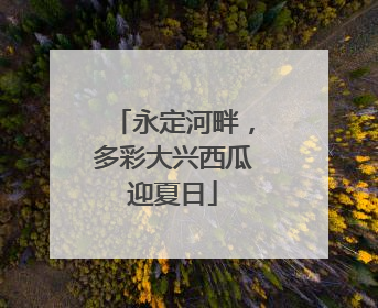 永定河畔，多彩大兴西瓜迎夏日