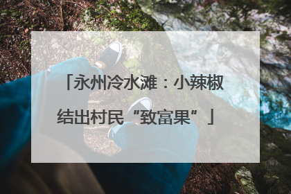 永州冷水滩：小辣椒结出村民“致富果”