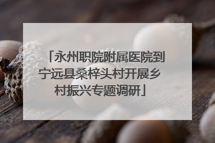 永州职院附属医院到宁远县桑梓头村开展乡村振兴专题调研