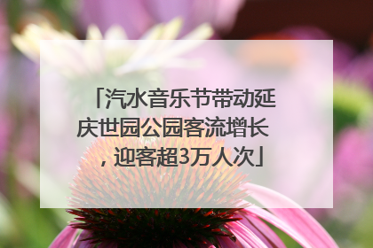 汽水音乐节带动延庆世园公园客流增长，迎客超3万人次