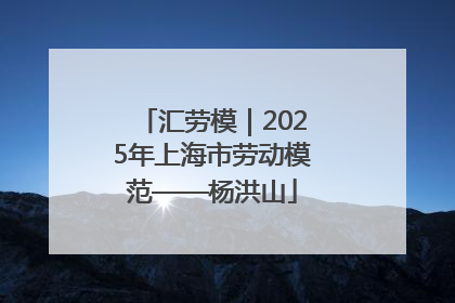 汇劳模｜2025年上海市劳动模范——杨洪山