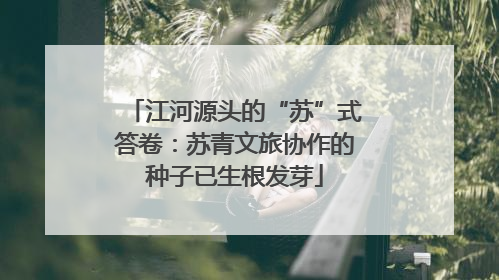 江河源头的“苏”式答卷：苏青文旅协作的种子已生根发芽