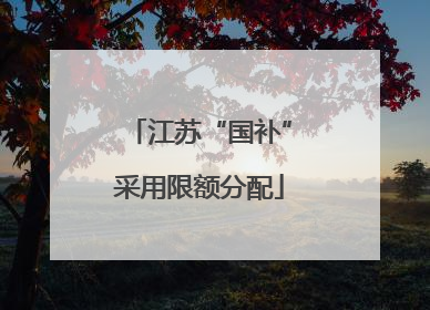 江苏“国补”采用限额分配