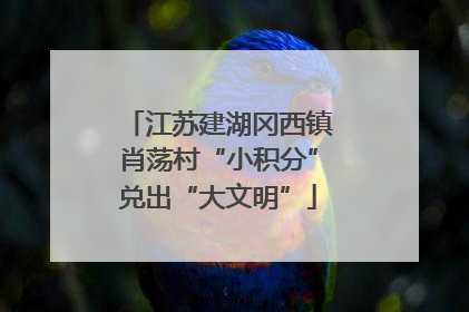 江苏建湖冈西镇肖荡村“小积分”兑出“大文明”