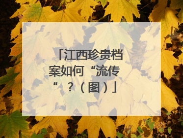 江西珍贵档案如何“流传”？（图）