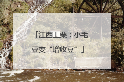 江西上栗：小毛豆变“增收豆”