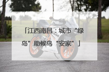 江西南昌：城市“绿岛”助候鸟“安家”
