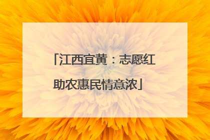 江西宜黄：志愿红助农惠民情意浓