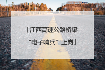 江西高速公路桥梁“电子哨兵”上岗
