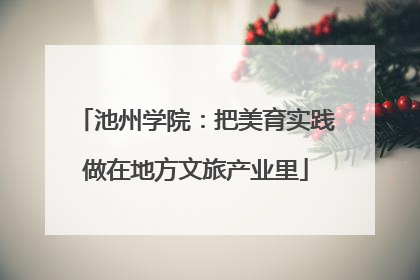 池州学院：把美育实践做在地方文旅产业里