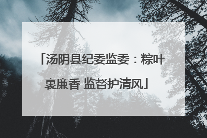 汤阴县纪委监委：粽叶裹廉香 监督护清风