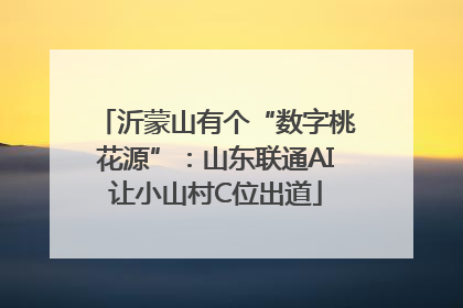 沂蒙山有个“数字桃花源”：山东联通AI让小山村C位出道