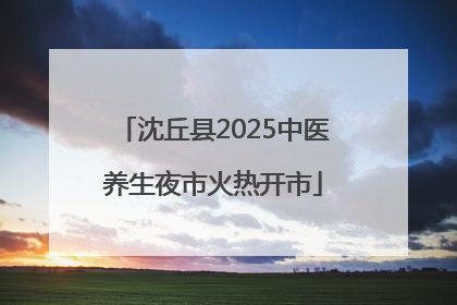 沈丘县2025中医养生夜市火热开市