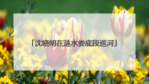 沈晓明在涟水娄底段巡河