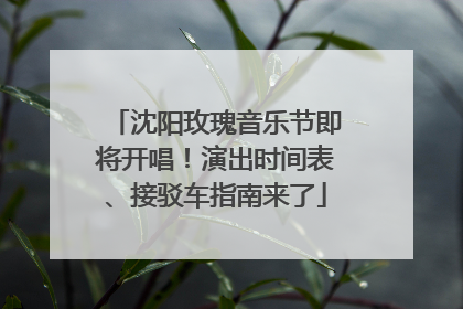 沈阳玫瑰音乐节即将开唱！演出时间表、接驳车指南来了