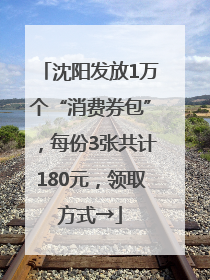 沈阳发放1万个“消费券包”，每份3张共计180元，领取方式→