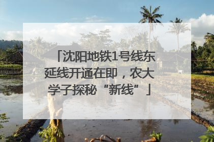 沈阳地铁1号线东延线开通在即，农大学子探秘“新线”