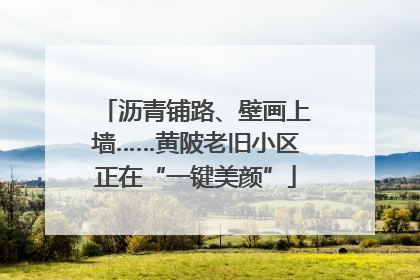 沥青铺路、壁画上墙……黄陂老旧小区正在“一键美颜”