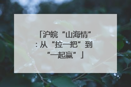沪皖“山海情”：从“拉一把”到“一起赢”