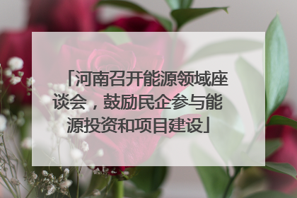 河南召开能源领域座谈会，鼓励民企参与能源投资和项目建设