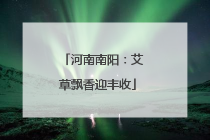 河南南阳：艾草飘香迎丰收