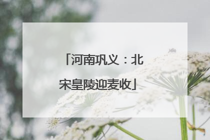 河南巩义：北宋皇陵迎麦收