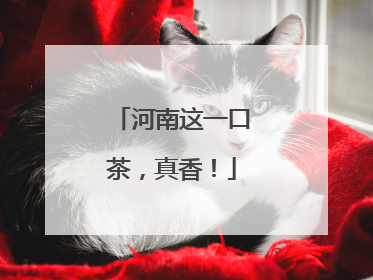 河南这一口茶，真香！