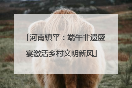 河南镇平：端午非遗盛宴激活乡村文明新风