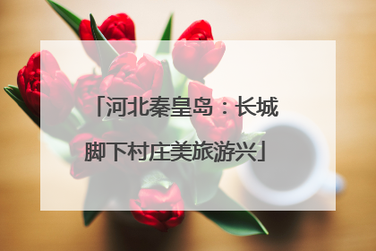 河北秦皇岛：长城脚下村庄美旅游兴