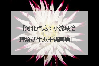 河北卢龙：小流域治理绘就生态丰饶画卷