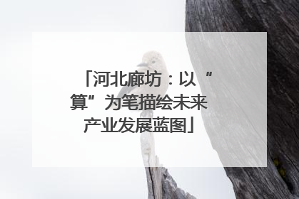 河北廊坊：以“算”为笔描绘未来产业发展蓝图