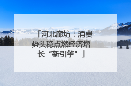 河北廊坊：消费势头稳点燃经济增长“新引擎”