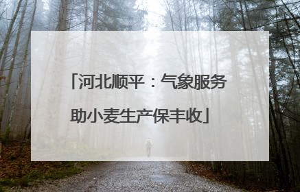 河北顺平：气象服务助小麦生产保丰收
