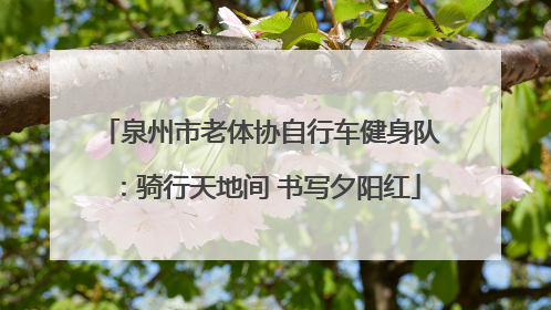 泉州市老体协自行车健身队：骑行天地间 书写夕阳红