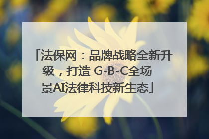 法保网：品牌战略全新升级，打造 G-B-C全场景AI法律科技新生态