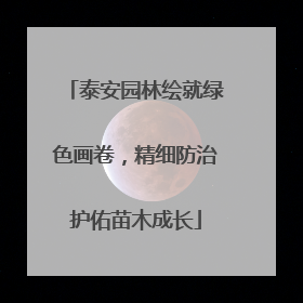 泰安园林绘就绿色画卷，精细防治护佑苗木成长