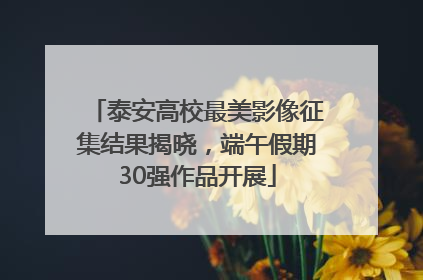 泰安高校最美影像征集结果揭晓，端午假期30强作品开展