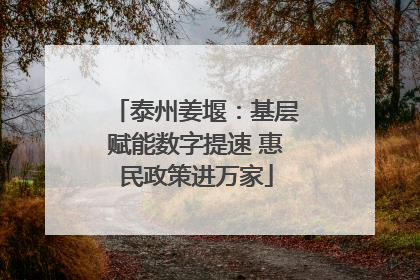 泰州姜堰：基层赋能数字提速 惠民政策进万家