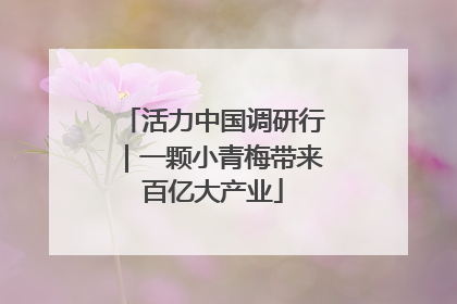 活力中国调研行｜一颗小青梅带来百亿大产业