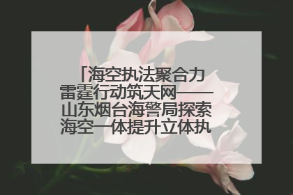 海空执法聚合力 雷霆行动筑天网——山东烟台海警局探索海空一体提升立体执法效能纪实